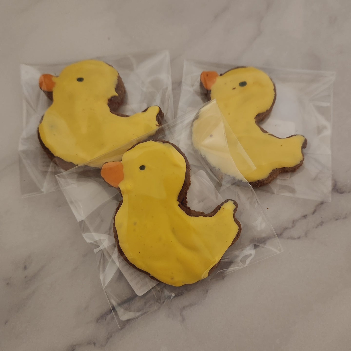 Medium duck-Fido's Frosted