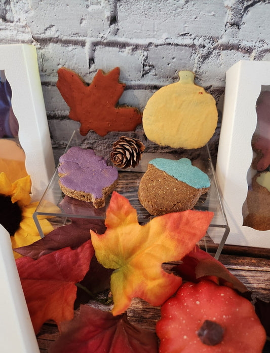 4-pack Fall Cookies